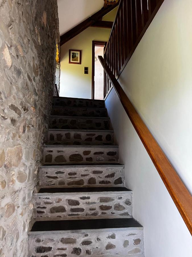 Cwmgwn Farm Llandovery