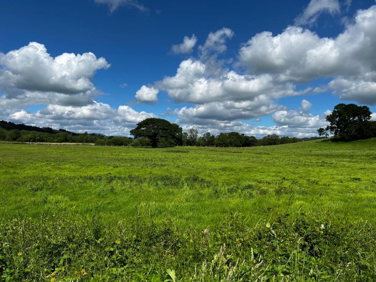Cwmgwn Farm Appartamento *